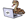 Developer Coden Statement Computer Programmierer