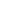 Visionary