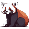 red panda