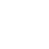 Gothic Skull with Roses