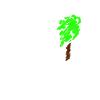 Heim