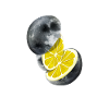 Lune Citron Dans L’univers