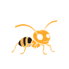 Humour fourmis