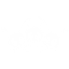 ant