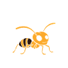 Humour fourmis