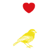 Humour Canari