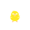 Humour Canari