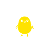 Humour Canari