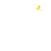 Canari