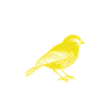 Humour Canari