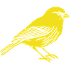 Canary