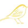 Canary