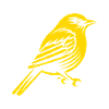 Canary