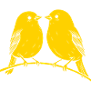 Canaris