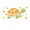 Turtle Sea Turtle Turtle Animal