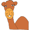 kamel