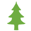 Sapin vert naturel