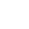 Lightning Icon
