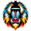 Mandrill Monkey