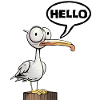 Hello