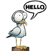 Hello - hi