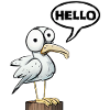 Hi Hello