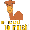 camel no need to rush