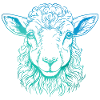 Lamb Portrait