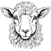Lamb Portrait