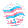 Trans Rights Tribute