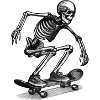 Skeleton skateboard, Skelett