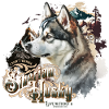 Husky Siberian