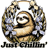 Just Chillin Sloth