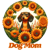 dachshund