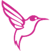 Hummingbird Bird