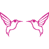 Colibri Oiseau 2