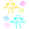 Giraffe Giraffen Safari