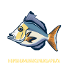 Hawaiian triggerfish Humuhumunukunukuapua'a