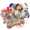 Bulldog
