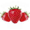 Strawberry Gang - Team Strawberry Picker