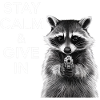 Meme raccoon