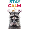 Meme raccoon