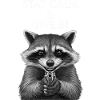 Meme raccoon