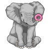 Elephant Donut