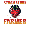 Erdbeerbauer Erdbeere Ernte Sommerfrucht