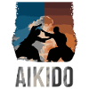 Aikido Martial Arts Gift