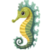 Sea horse