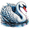 Swan