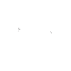 Realtor