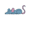 Rat sleeping nature rodent